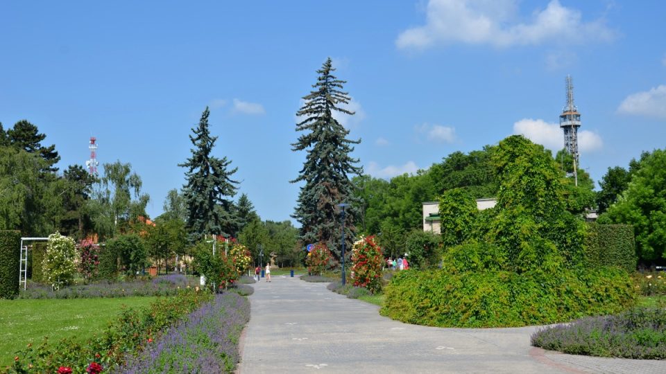 Zahrada Květnice je součástí Růžového sadu na Petříně