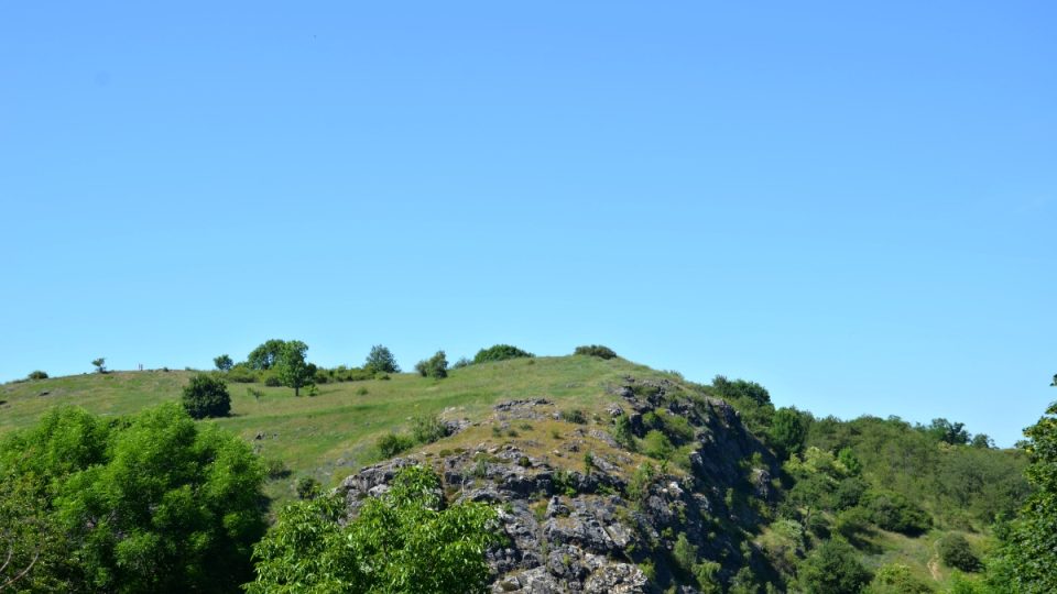 Pohled do přírodního parku od zastávky MHD Divoká Šárka