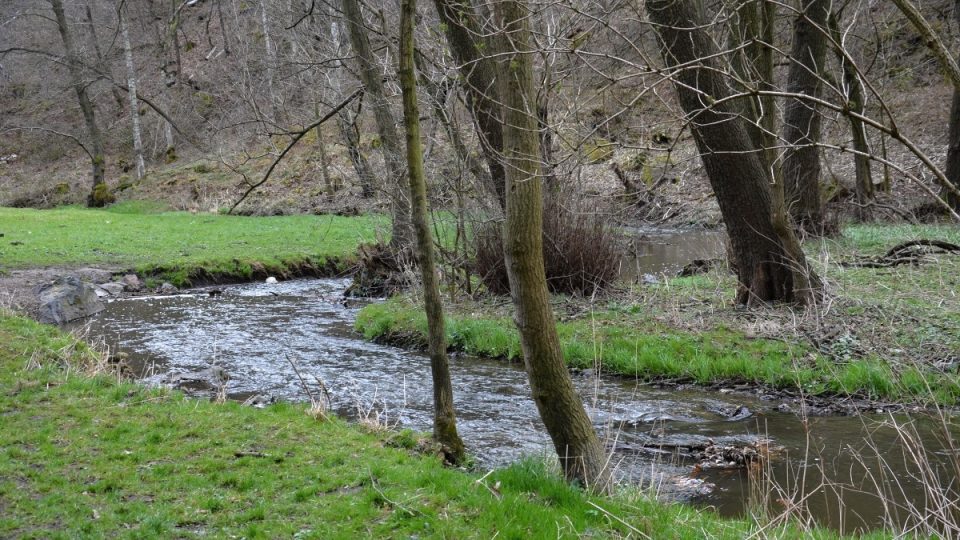 Parkem protéká Šárecký potok