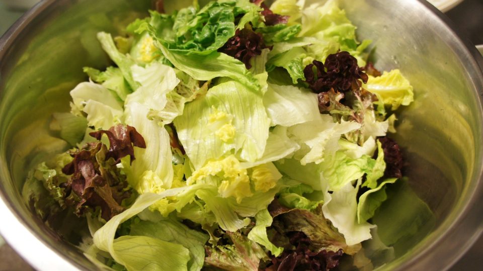 Na salát můžeme volit například kombinaci ledový salát, římský salát a světlý štěrbák
