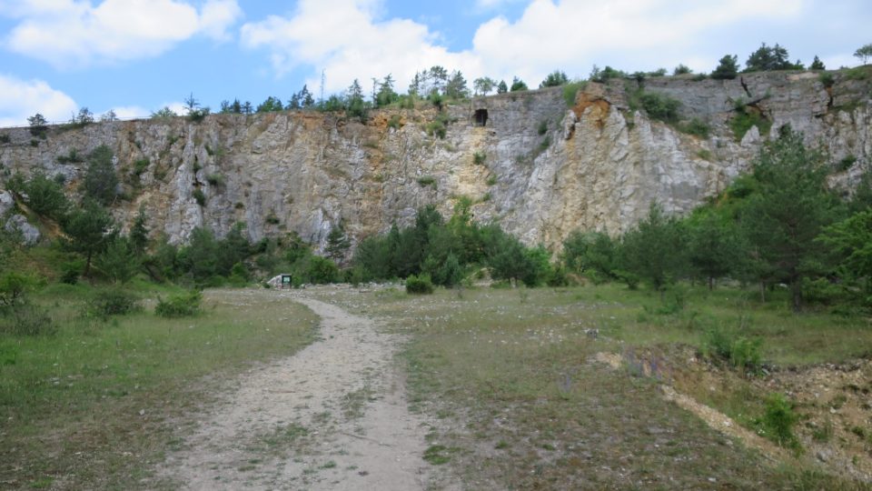 Houbův důl