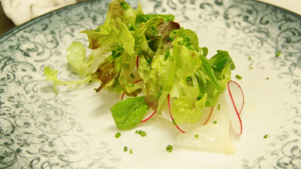 Na ředkvičky se pokládají salátové listy