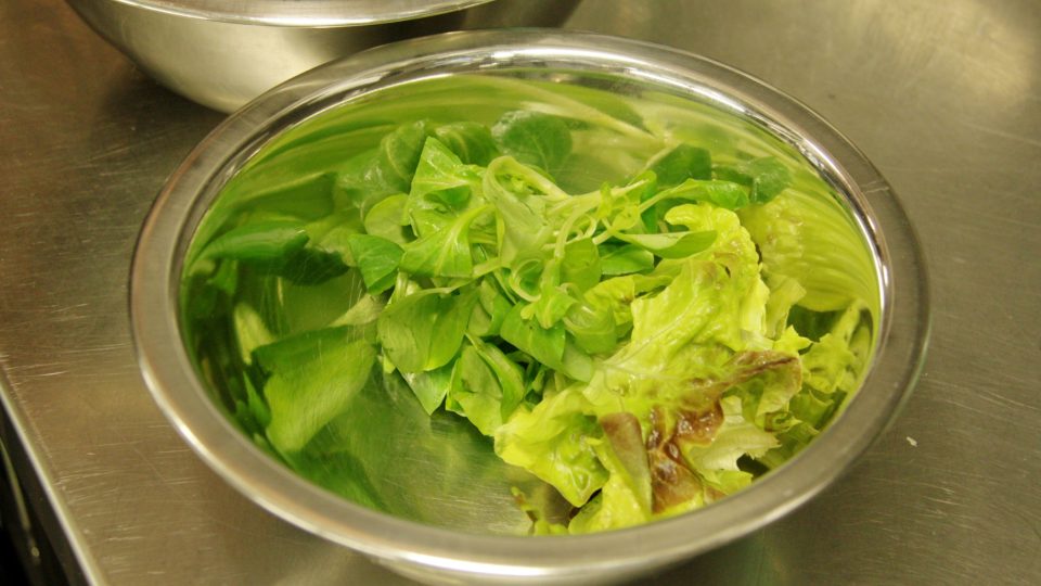 Připraví se salátové listy