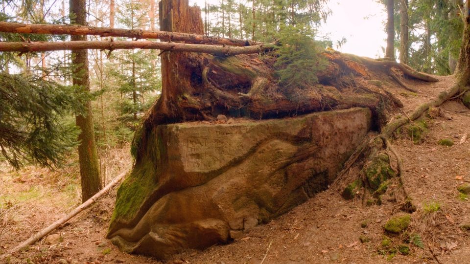 V lesích ve Velkých Opatovicích jsou ukryty skalní reliéfy