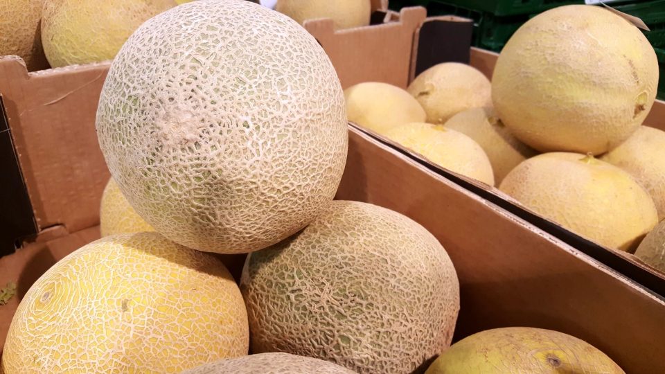 Meloun cukrový Cantaloupe je běžně k dostání v našich obchodech
