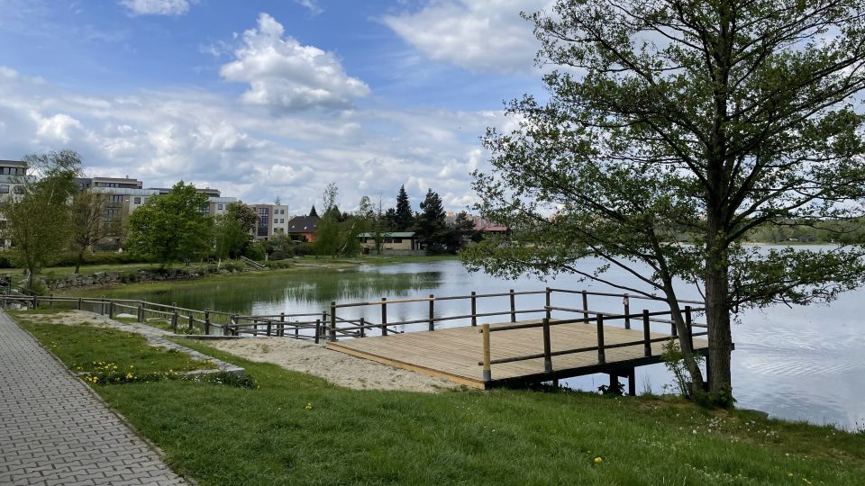 Velký bolevecký rybník v Plzni