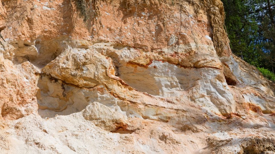 Odkryté vrstvy sedimentů jsou zajímavé nejen pro laiky, ale i pro odborníky