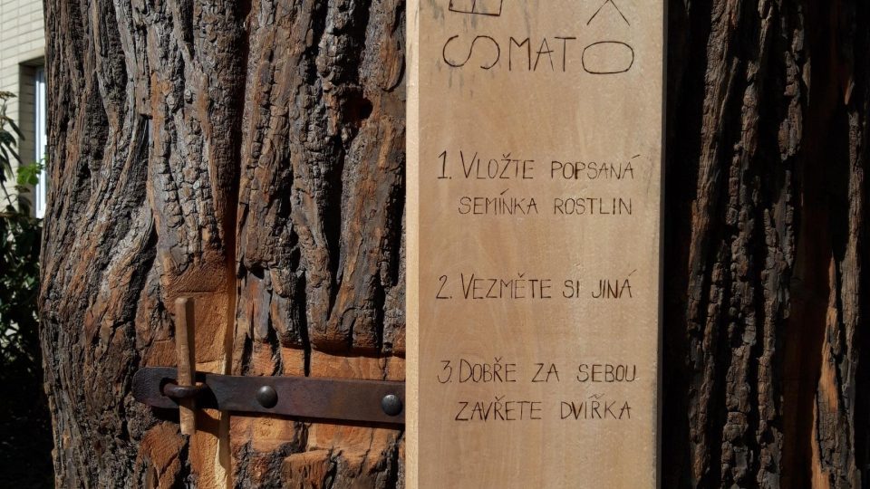 Strom pochází z pokácené aleje u Břevnovského kláštera. Na dvířcích najdete jednoduchý návod na obsluhu Semínkomatu - foto Bára Kvapilová.jpg