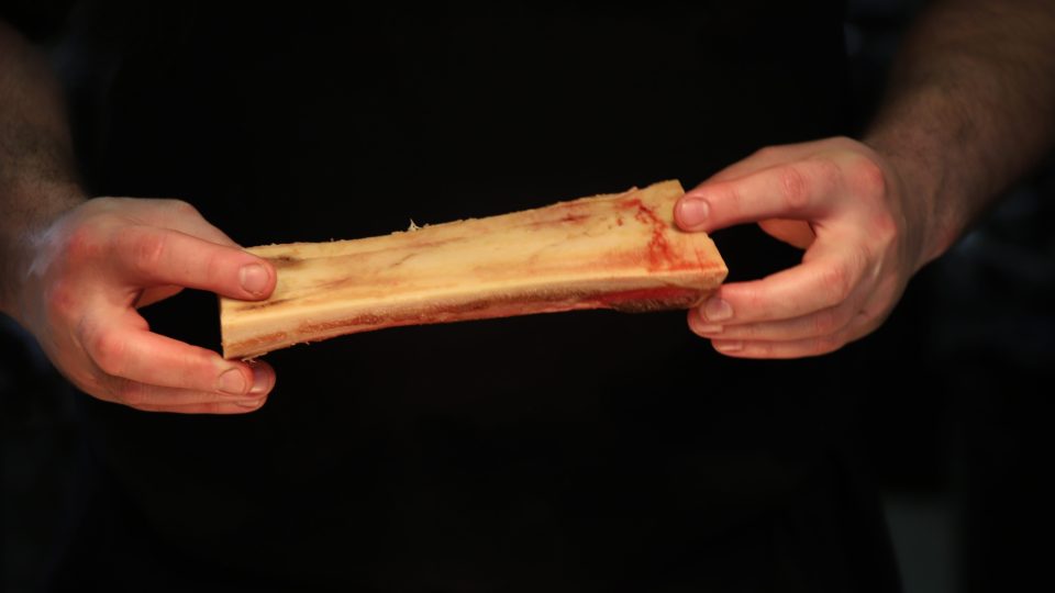 Telecí morková kost (podélně rozříznutá)