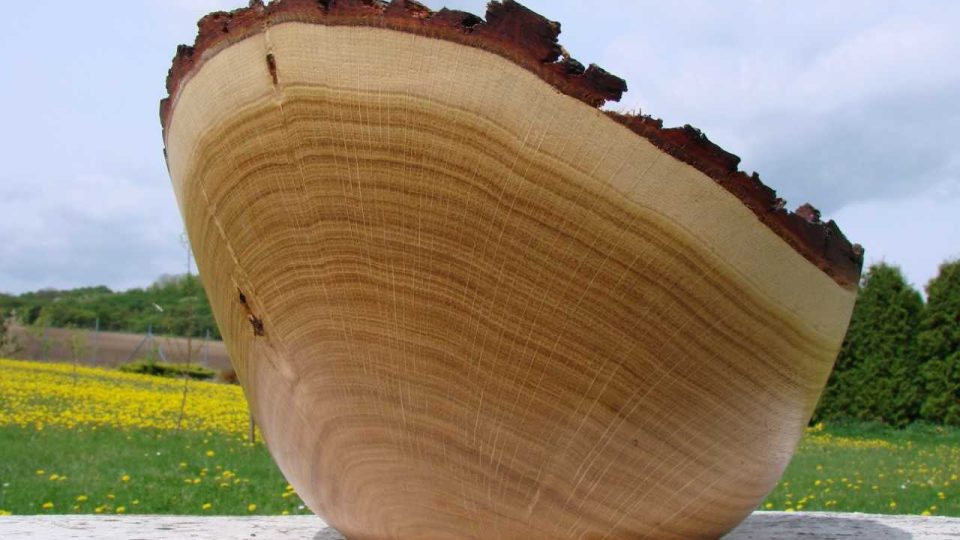 Citlivým opracováním dřeva na soustruhu dokáže Jiří Hurych starým ovocným stromům vdechnout nový život. Každý předmět má svůj příběh