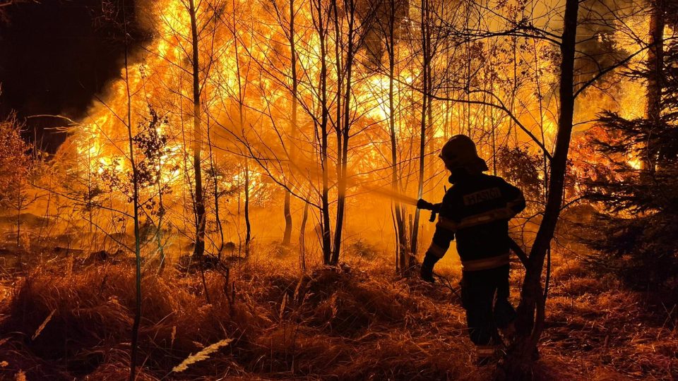 Dvanáct jednotek hasičů likviduje požár hromady dřeva v rozdělovském lese na Kladensku