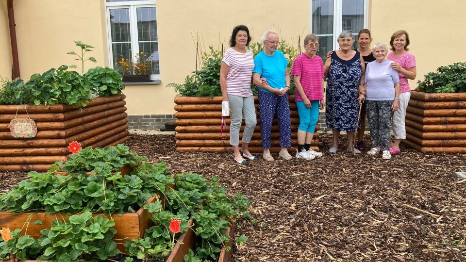 Klientky Domova seniorů v Novém Strašecí se starají o zahradu