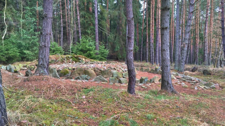 Od druhé světové války porostl i mohylu les