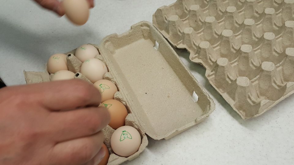 Orazítkovaná vejce se přendají do obalů