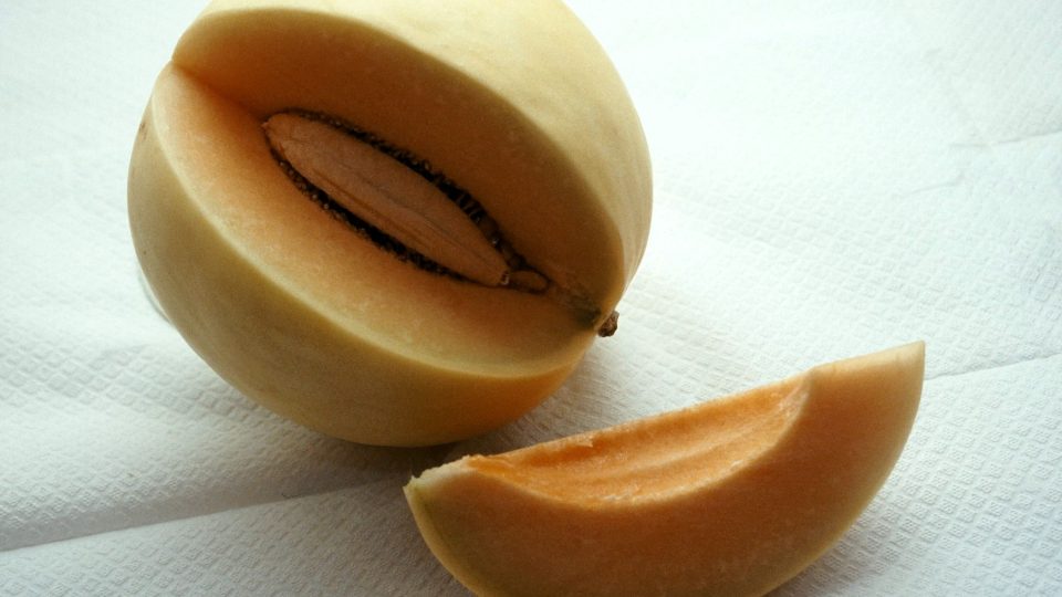 Meloun cukrový Orange