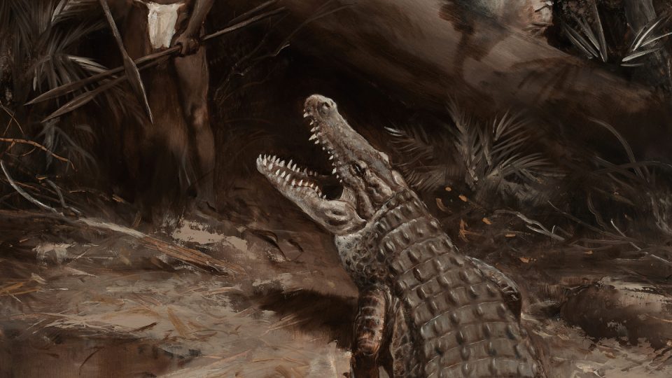 Dobrodružství - lov krokodýla, autor Petr Modlitba