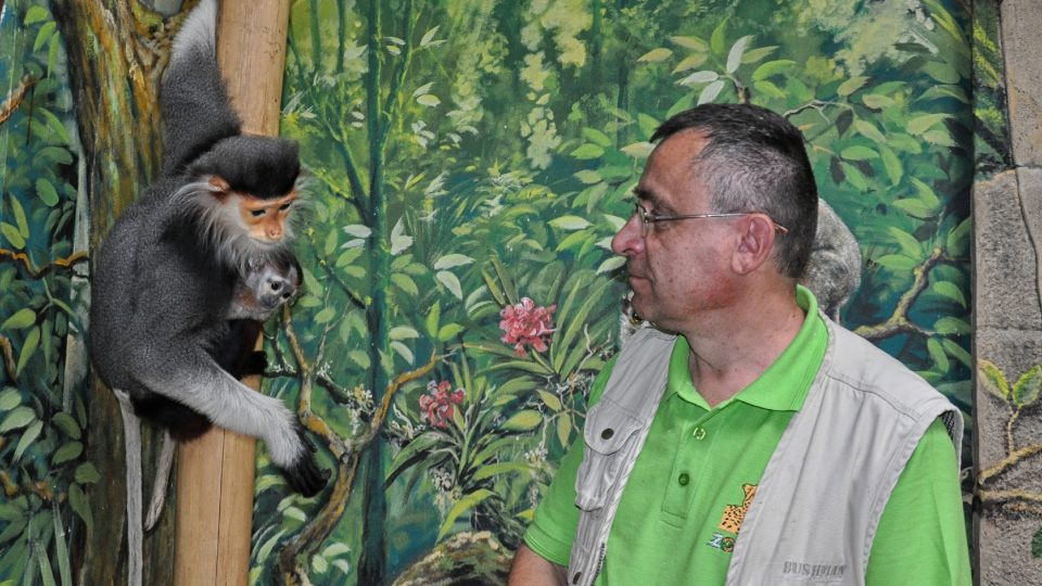 Languři duk v Zoo Chleby v roce 2019, ředitel zoo René Franěk