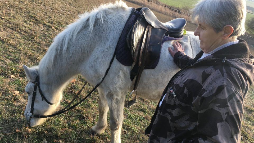 Helena Kafková chová koně v podstatě uprostřed města: „Jen díky tolerantním sousedům.“