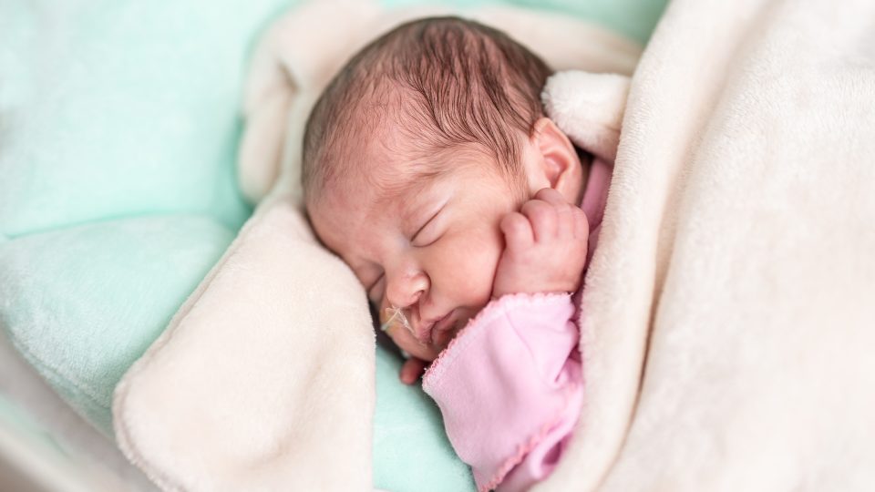 O narozená miminka se v hořovické porodnici skvěle starají