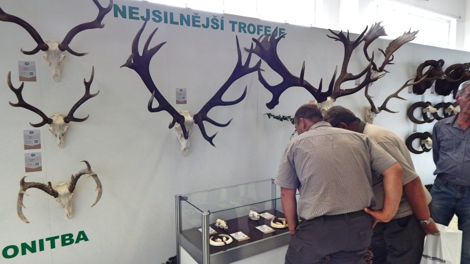 Na výstavě v Lysé nad Labem jsou k vidění i unikátní lovecké trofeje