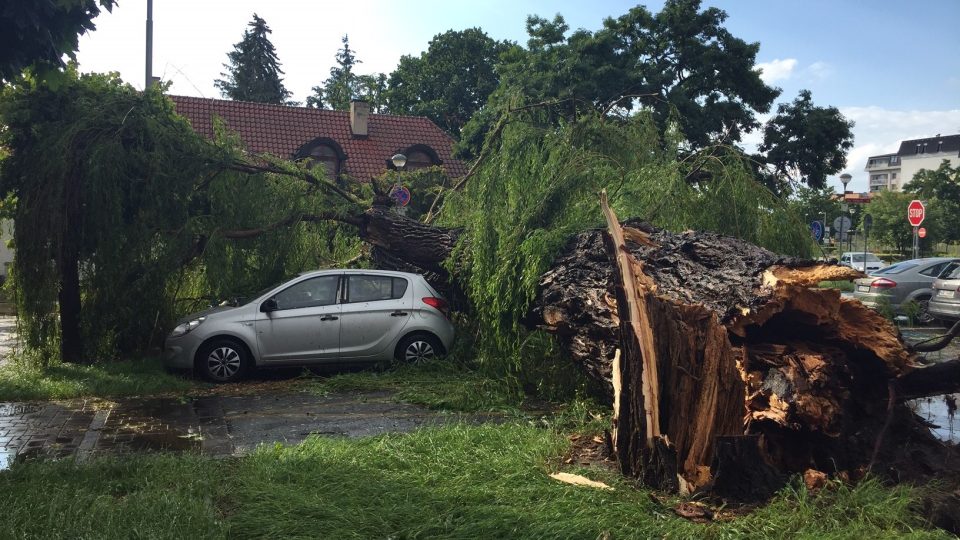 Víkendová bouřka polámala v Poděbradech desítky stromů