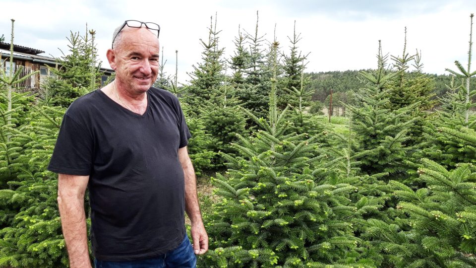 Pavel Vácha už má s pěstováním vánočních stromků dlouholeté zkušenosti