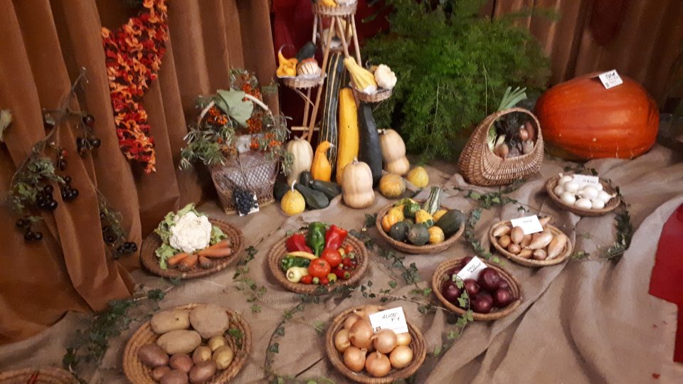 Součástí cibulových trhů jsou v Hořovicích i výstavy ovoce a zeleniny