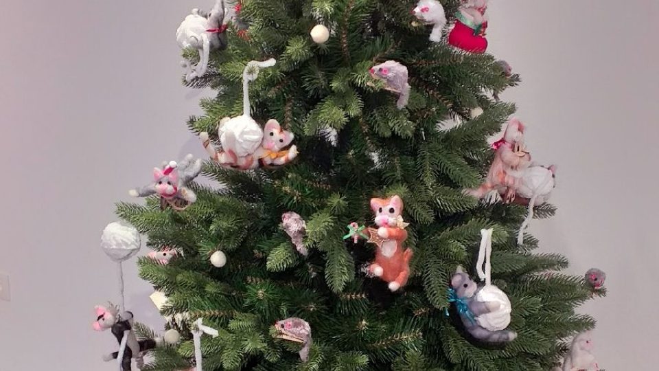 Jeden stromek je ozdobený na téma Vánoce pro kočku
