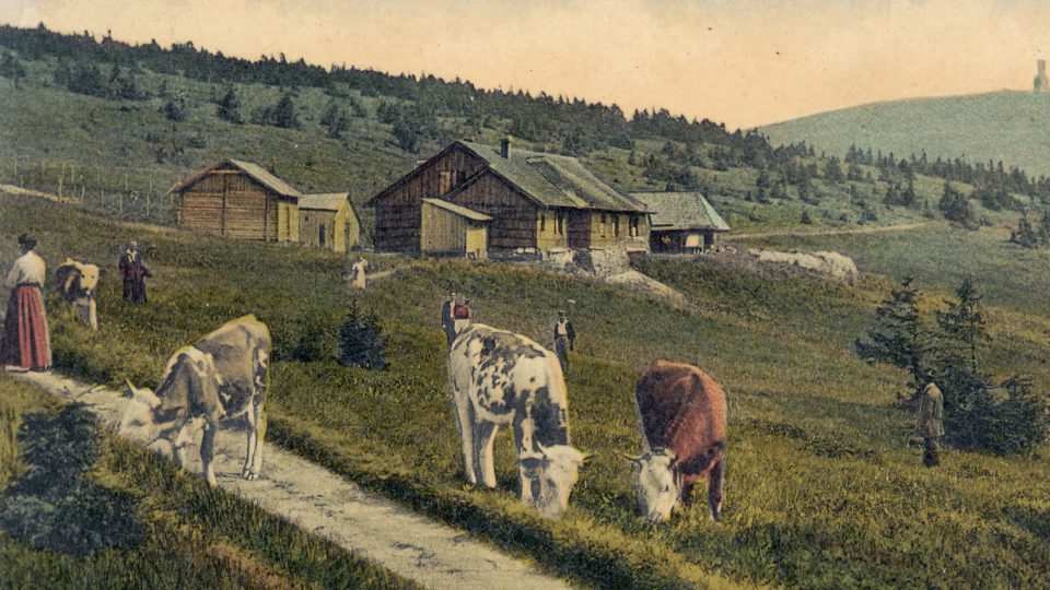 Jedna z nejstarších pohlednic z Švýcárny z přelomu 19. a 20. století prozrazuje že se zde páslo i v době, kdy už chata byla dávno spíše turistickou základnou