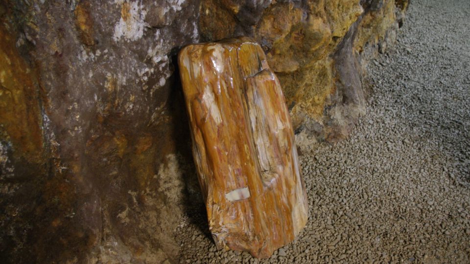 V podzemí je k vidění třeba i zkamenělé dřevo