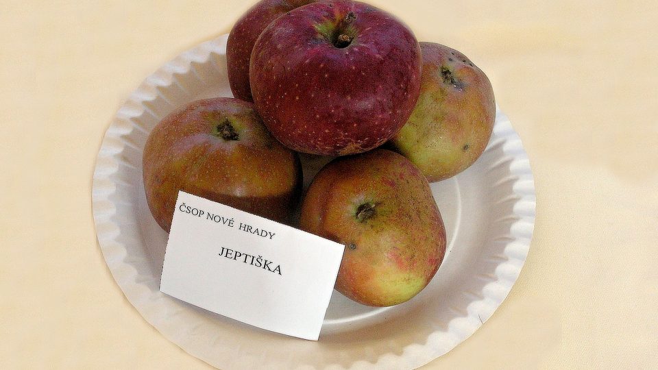 Jeptiška neboli Železné jablko, sladká odrůda s trvanlivostí dva roky