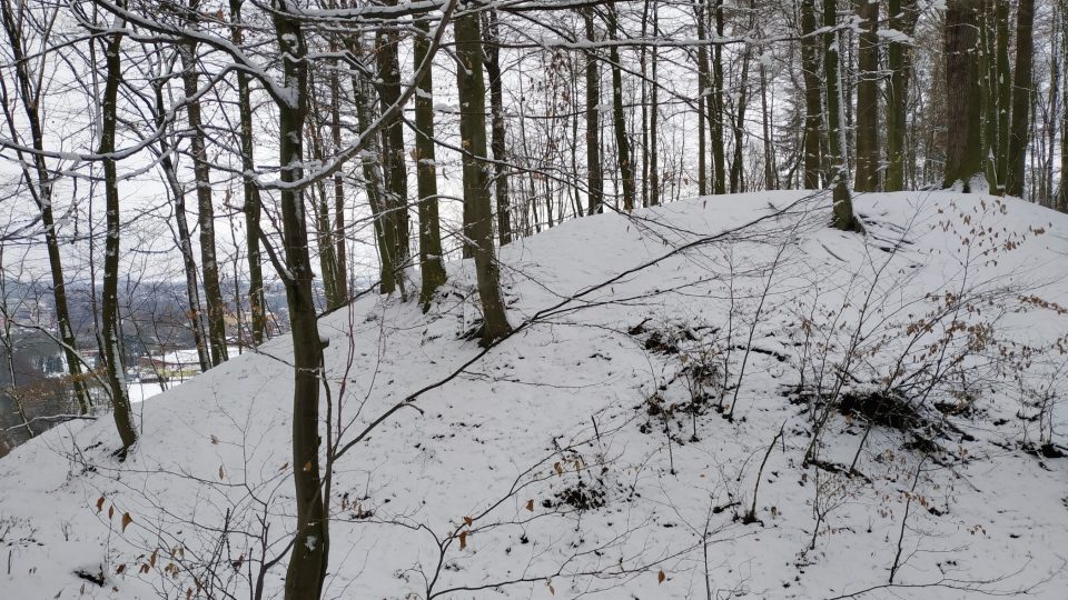 Hradiště Zítkov je zarostlé lesem