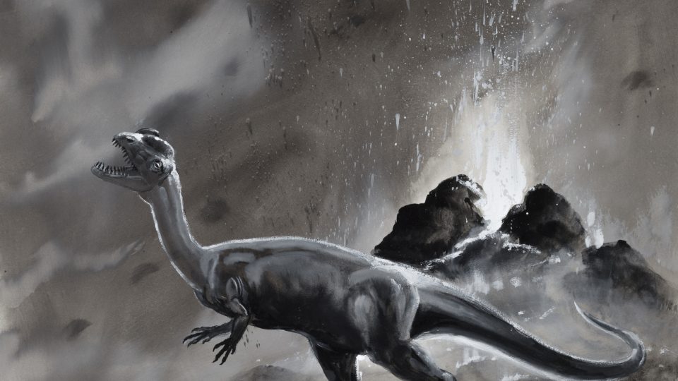 Dilophosaurus wetherilli, autor Petr Modlitba