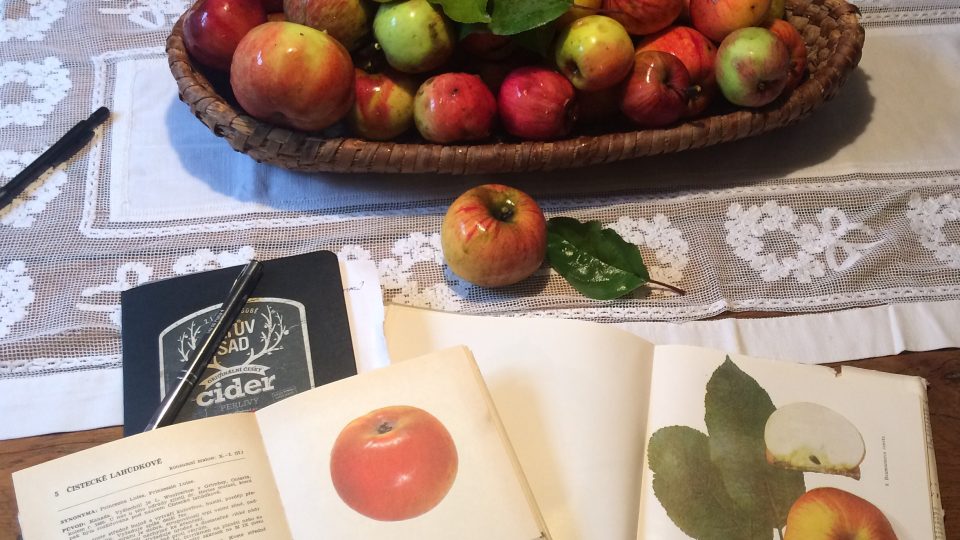 Jabloně v Tátově sadu plodí voňavá jablka