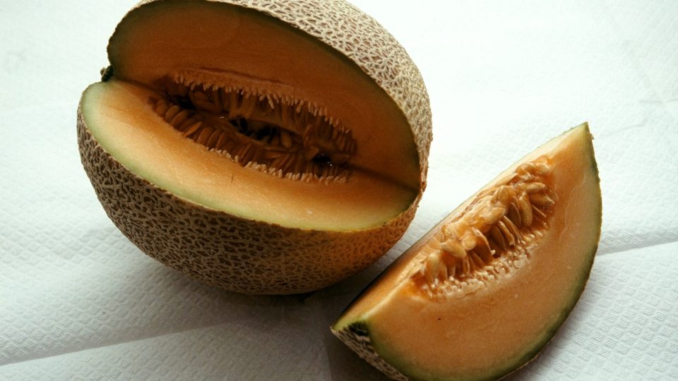 Meloun cukrový Cantaloupe 