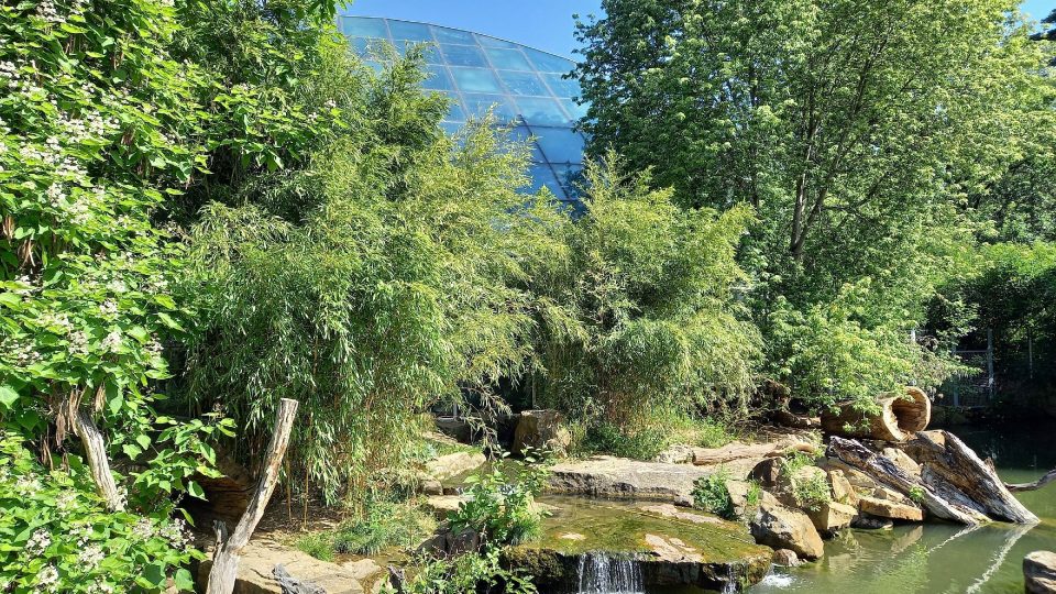 Zlínská ZOO je zahradou v přírodě - pohled na vydří rybníček