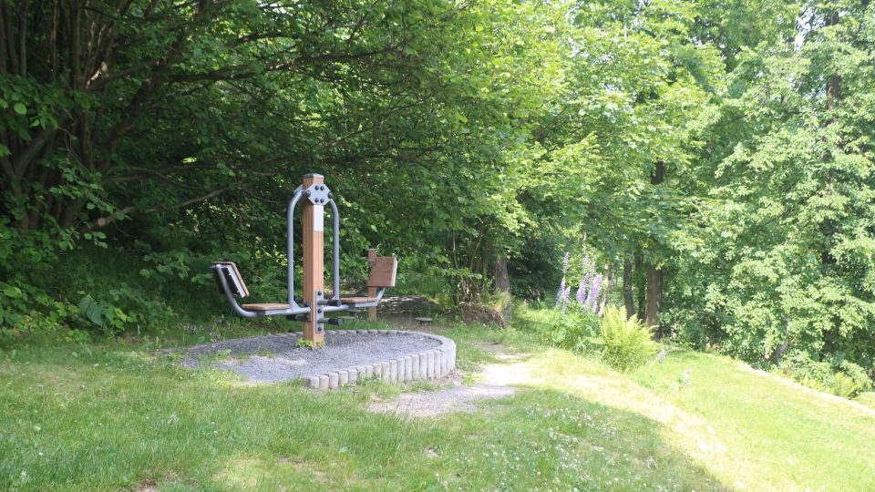 Je možné si tu i rozhýbat tělo na několika cvičebních strojích umístěných u lesa nad trávníkem s lehátky