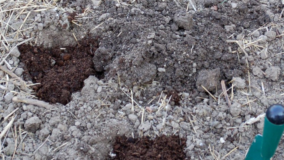 Jamky na výsadbu plné kompostu nebo substrátu