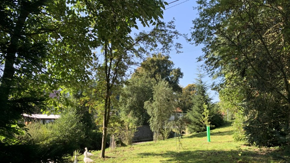 Arboretum v Krusičanech