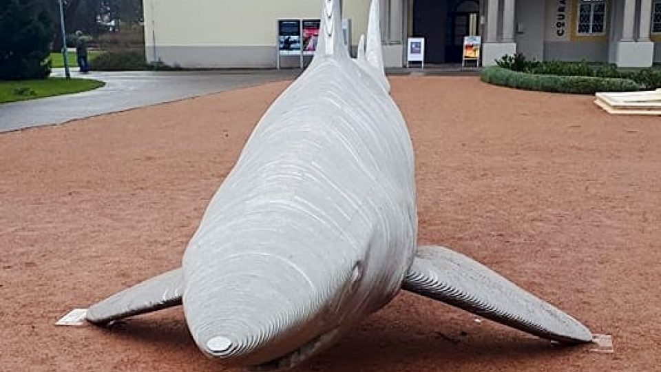 Socha žraloka měří téměř sedm metrů a váží šest a půl tuny
