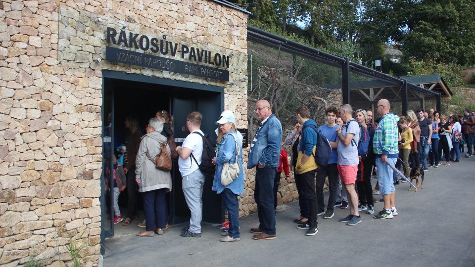 První minuty otevření Rákosova pavilonu pro návštěvníky