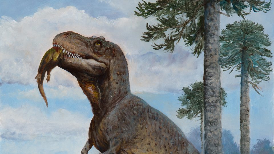 Tyrannosaurus rex, autor Petr Modlitba