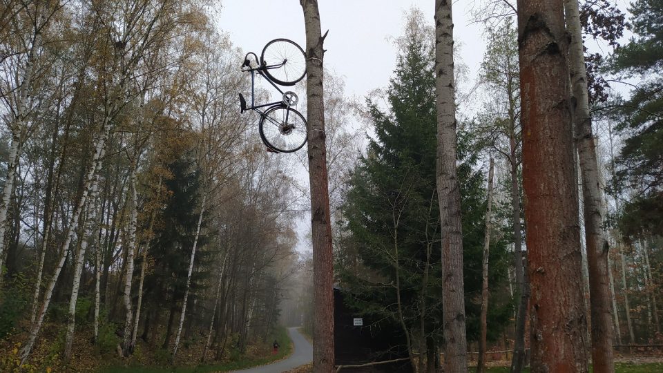 Při příjezdu do kempu vás uvítá kolo na stromě