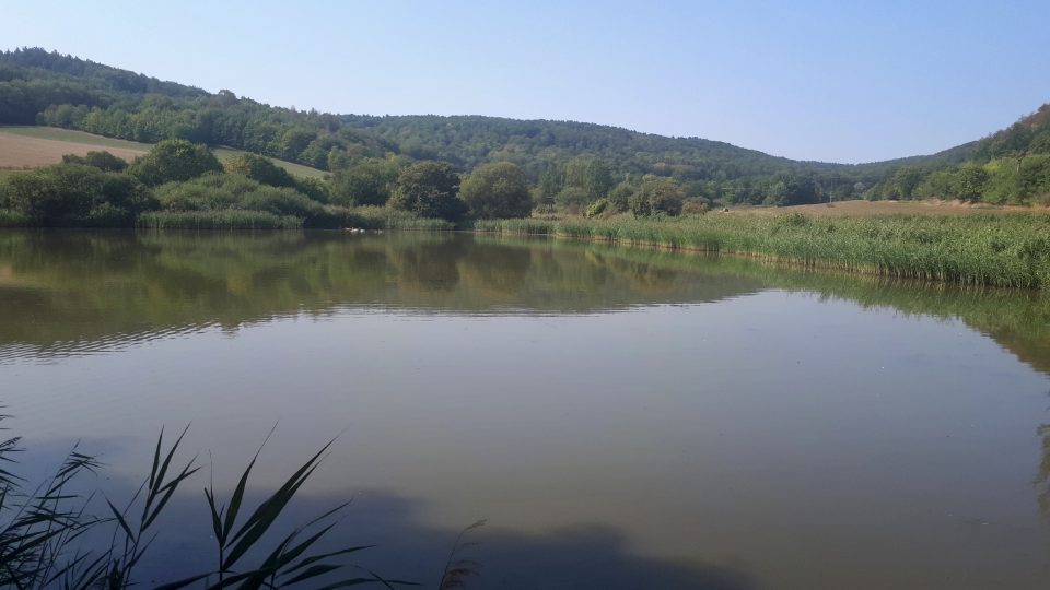 Pohledy na Kalivodské bučiny a rybníky jsou úchvatné