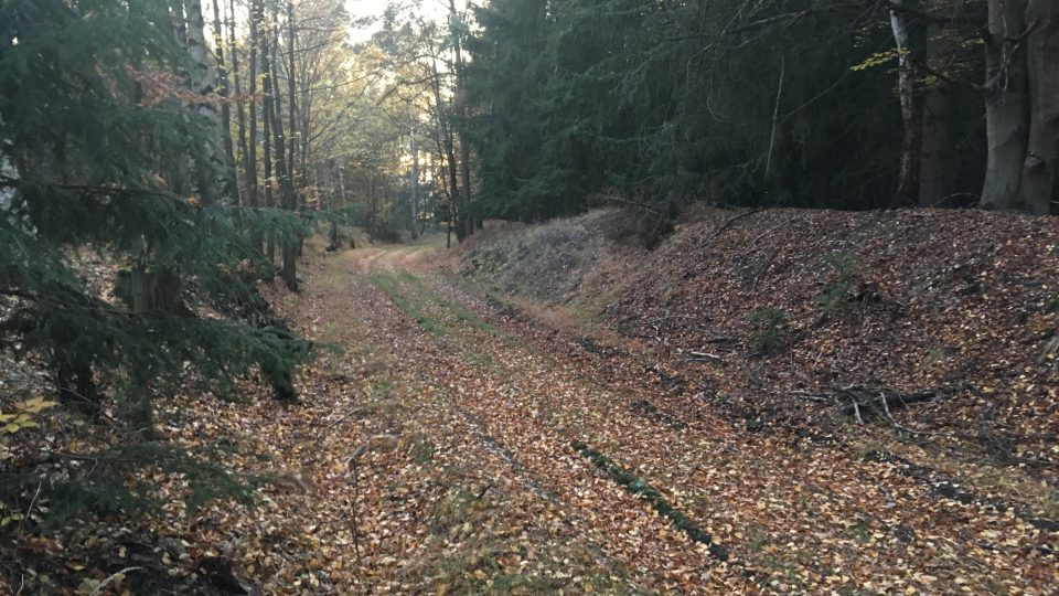 Pozůstatky po zapomenuté koněspřežné trati, která vedla křivoklátskými lesy