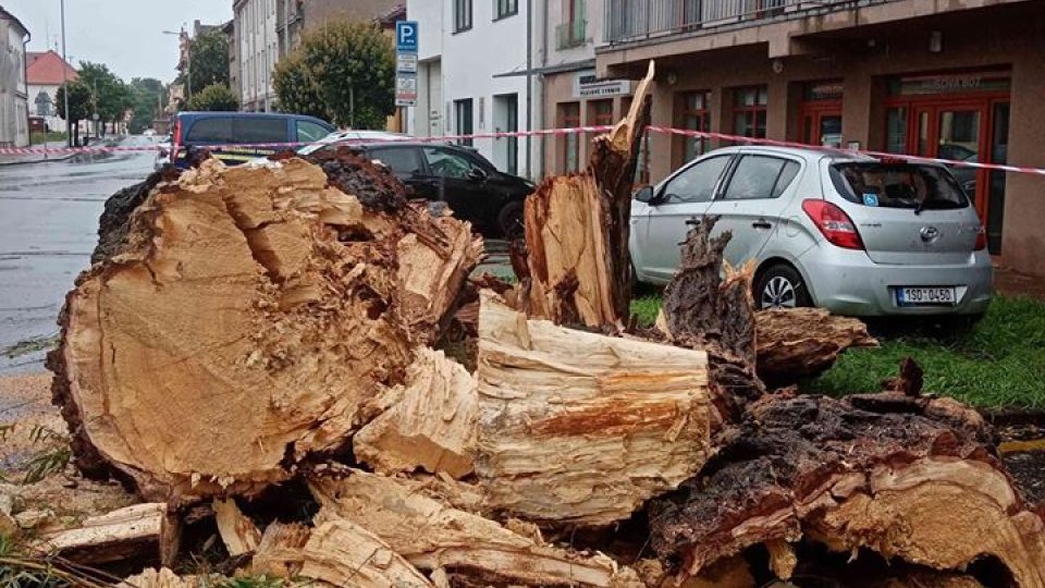 Víkendová bouřka polámala v Poděbradech desítky stromů