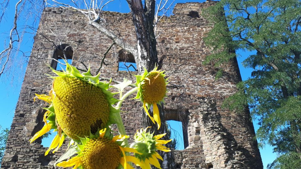 Archeologové našli poblíž zříceniny hradu v Říčanech tajemný podzemní prostor