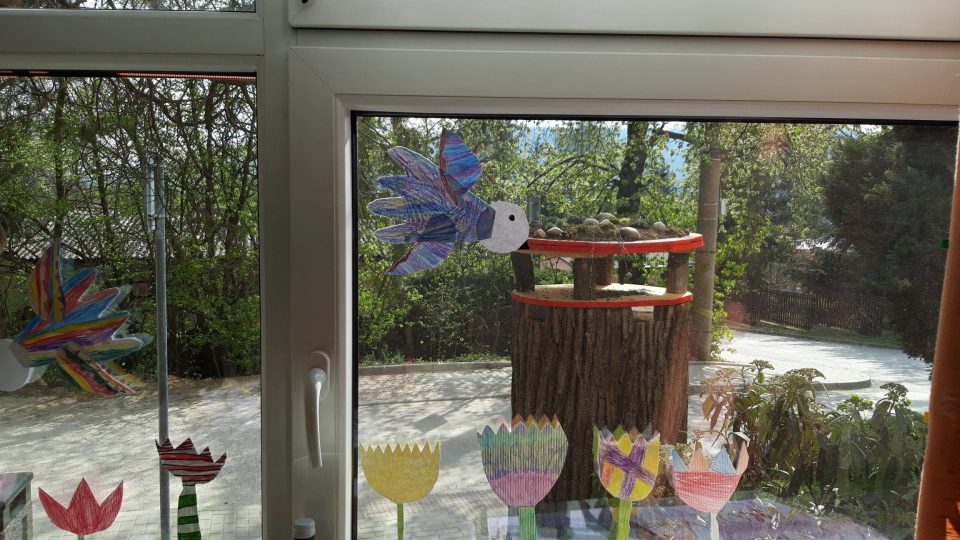 Školáci vidí na svůj vynález přímo z oken třídy a mohou tak pozorovat ptáky, kteří přilétají sezobat slunečnicová semínka v krmítku - foto Bára Kvapilová.jpg