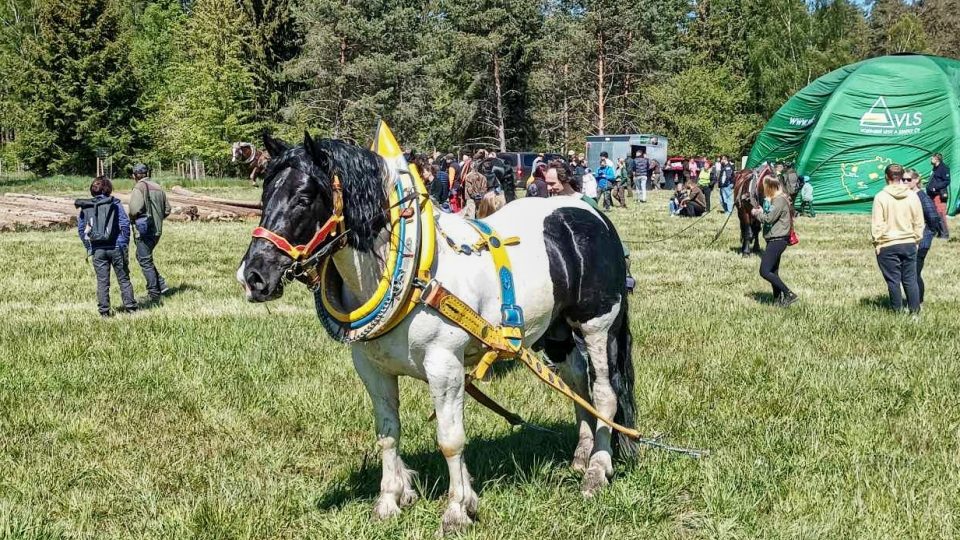 Brdská lesní bitva - II. ročník soutěže tažných koní