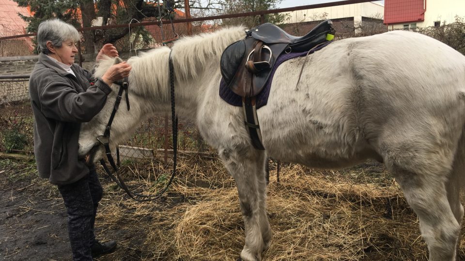 O koně se Helena Kafková stará sama, sama ho krmí i projíždí. Stáj má dvoře a sedlo v chodbě domu